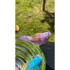 Murano Glass Green Bird Bath /Nest Bowl 5 Multicolor Removable Songbirds