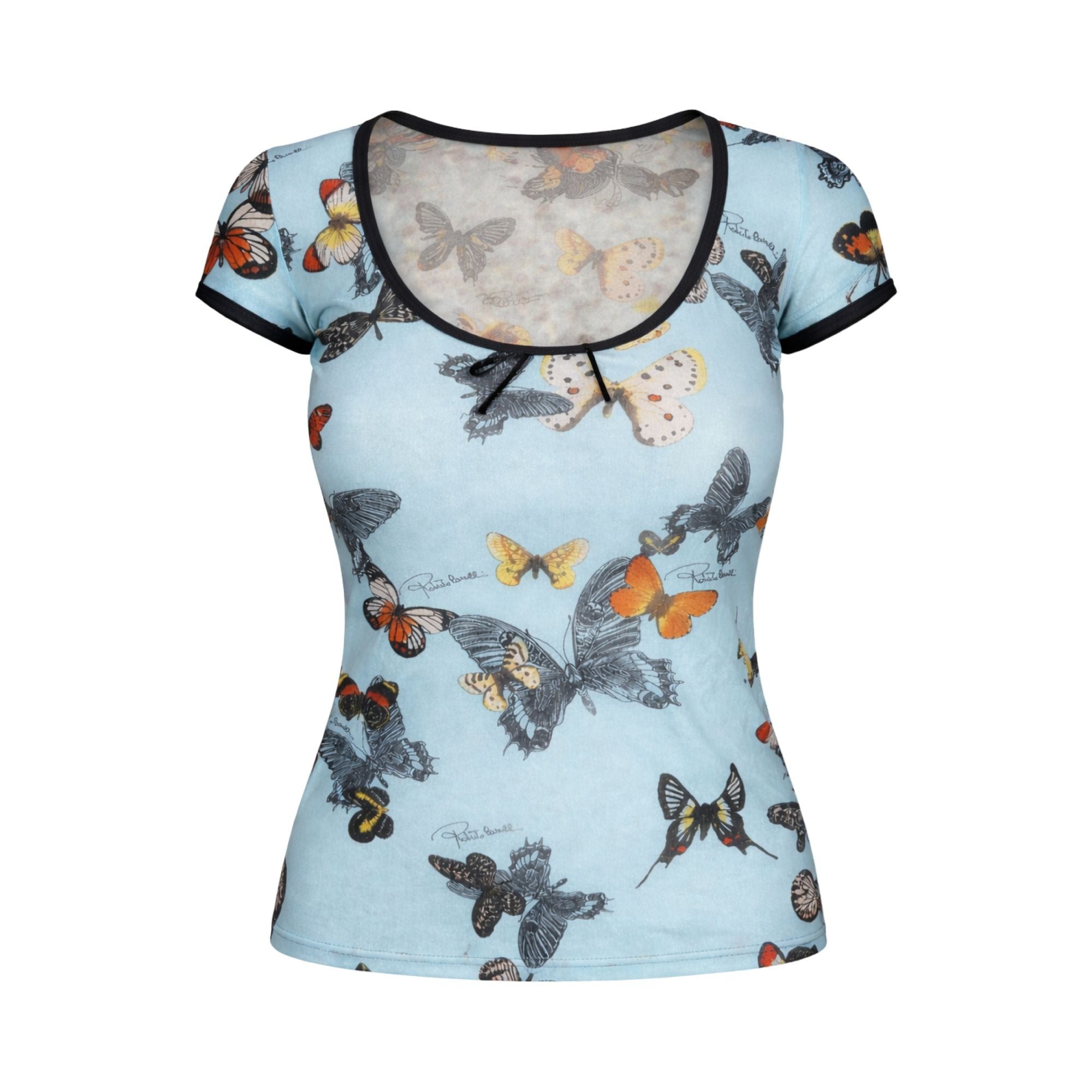 cavalli butterfly