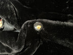 giacca20 