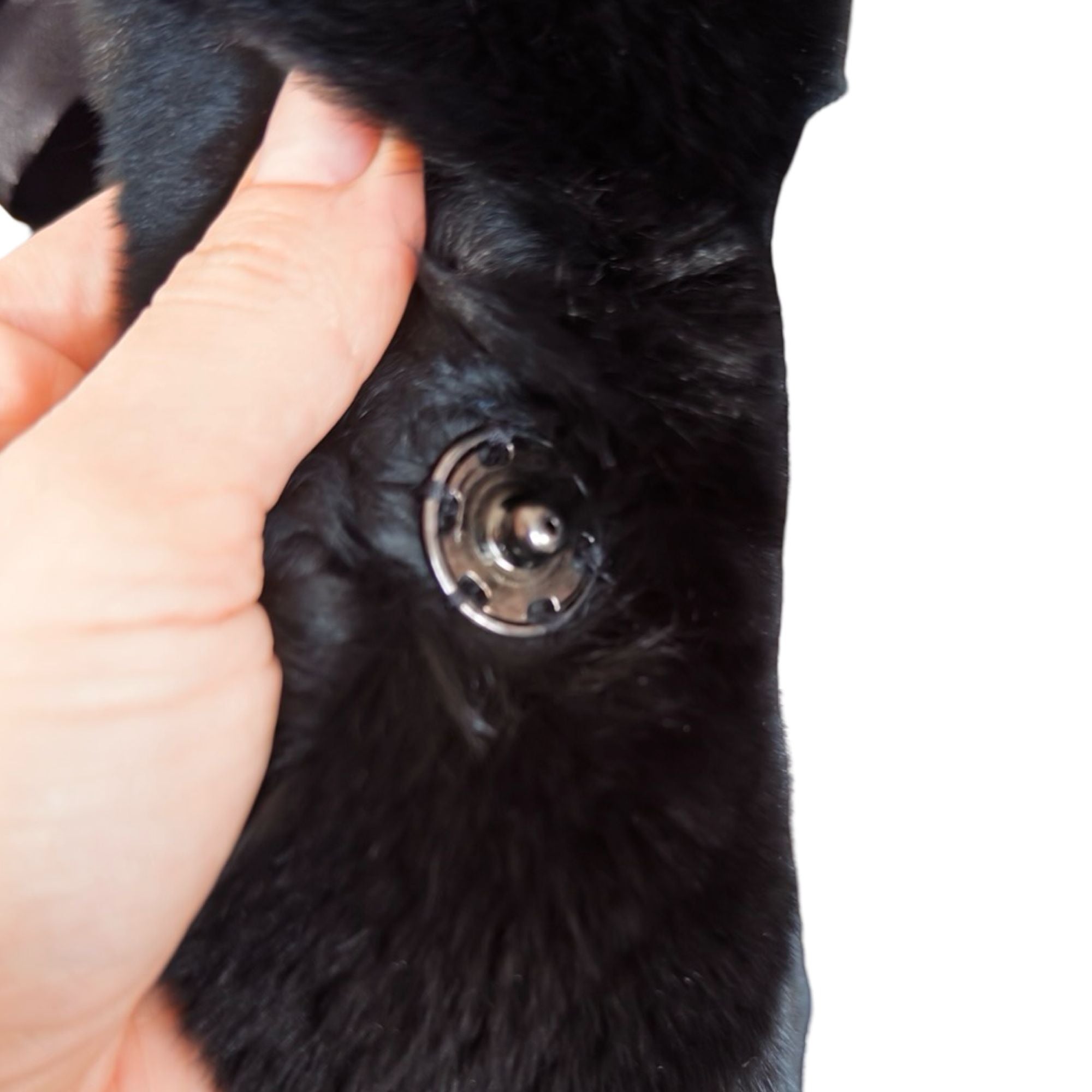 gabbana 2017 runway rabbit coat